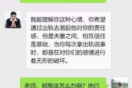 龙文信息咨询